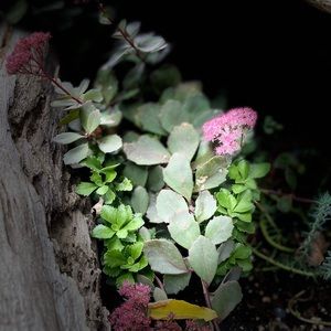 Meet your Posher, Reynaldo